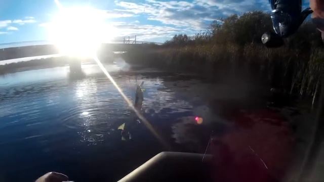 Fishing Travels №7   Провальные выходные