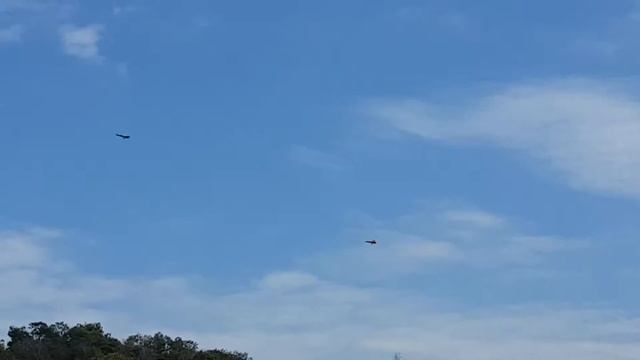 Mig-21 vs. F-18 Hornet смотреть онлайн