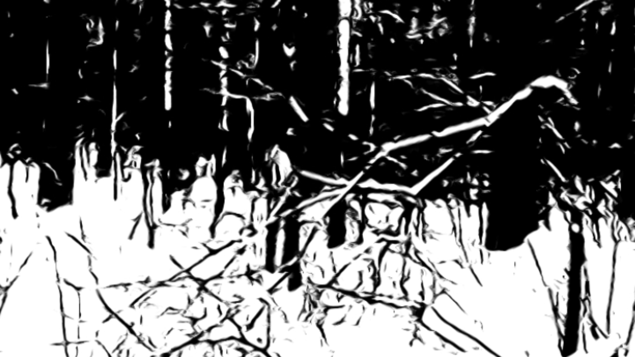 Приведение