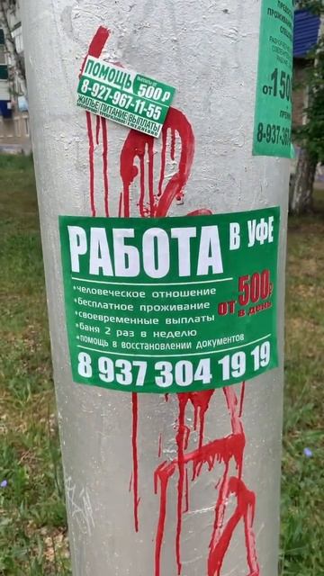 Странное объявление о работе #работа смотреть онлайн