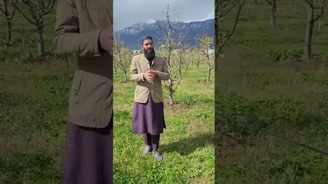 Advisory for the blossom thrips and fire worm in apple-April 2023 смотреть онлайн