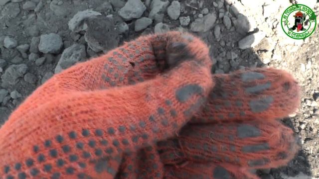 МОЖЕТ ФАРТОНУТЬ ТАМ ГДЕ И НЕ ДУМАЕШЬ ИЛИ КАК МЫ С БРАТОМ КОПАЛИ смотреть онлайн