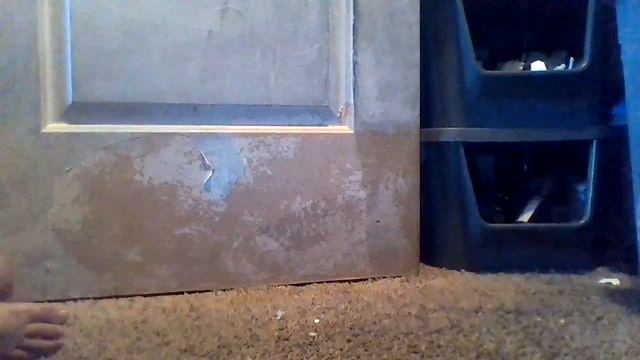 summer bear makes people go to school when they are on spring break смотреть онлайн