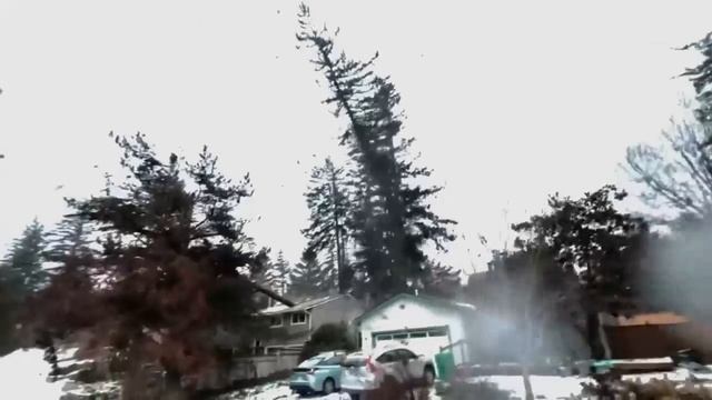 Глупые и безумные 😫 смотреть онлайн