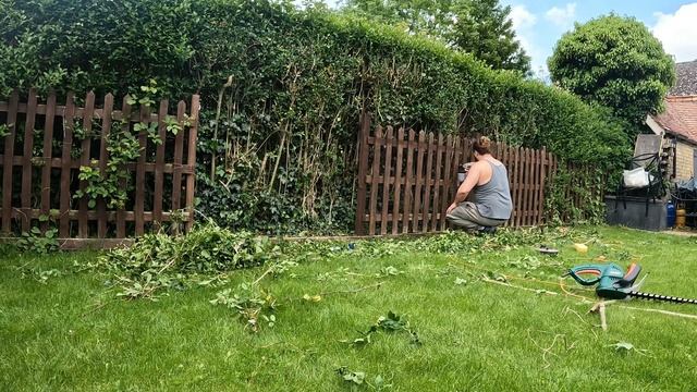 Fence Facelift: Witness the Spectacular Makeover of my Spray Gun Transformation!" смотреть онлайн