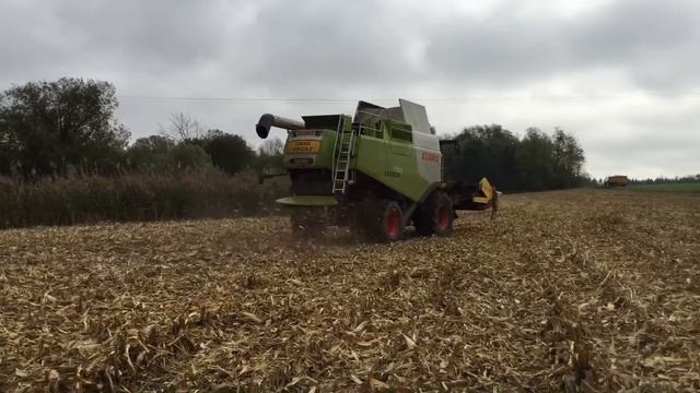 Moisson de maïs / CLAAS Lexion 750 смотреть онлайн