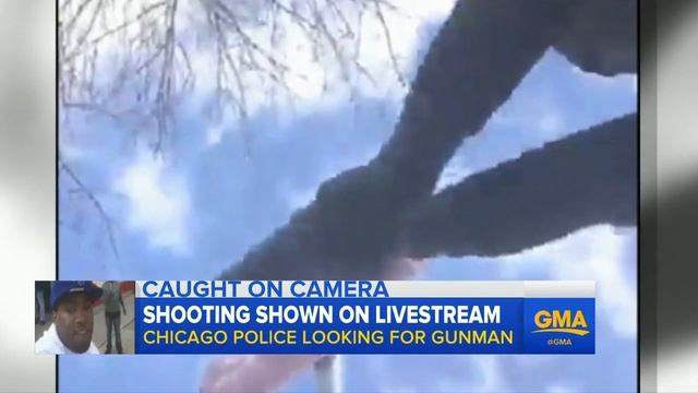 Shooting Suspect Caught on Camera During Live Stream смотреть онлайн
