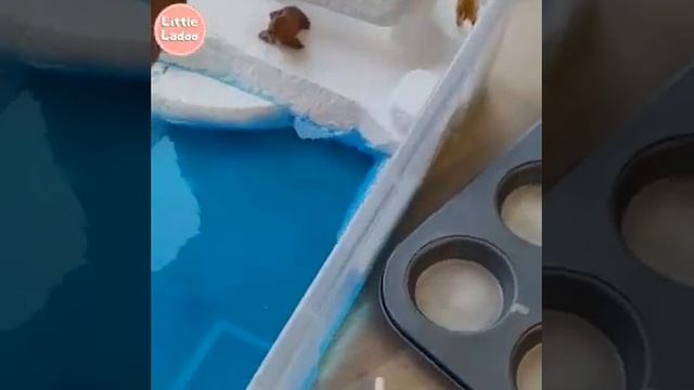 How to make an Arctic sensory box смотреть онлайн