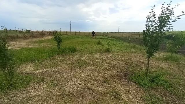 СЕСТРИЧКА С ДНЕМ РОЖДЕНИЯ ! ВЫКОСИЛА ВЕСЬ САД / ДЕРЕВЕНСКИЕ ДЕЛА смотреть онлайн