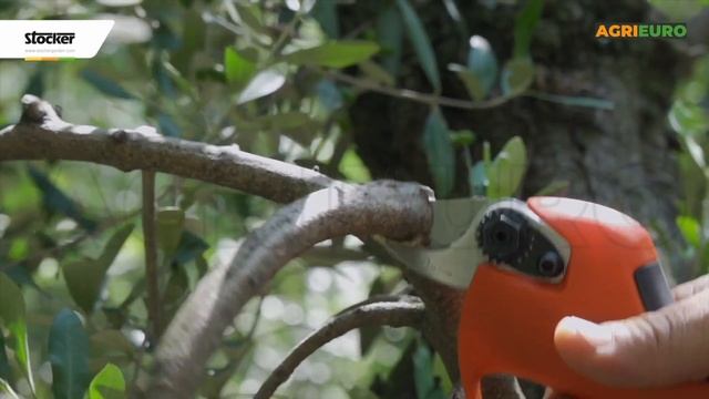 Presentazione della Forbici da potatura a batteria Stocker E-30 TP 16.8V con taglio progressivo смотреть онлайн