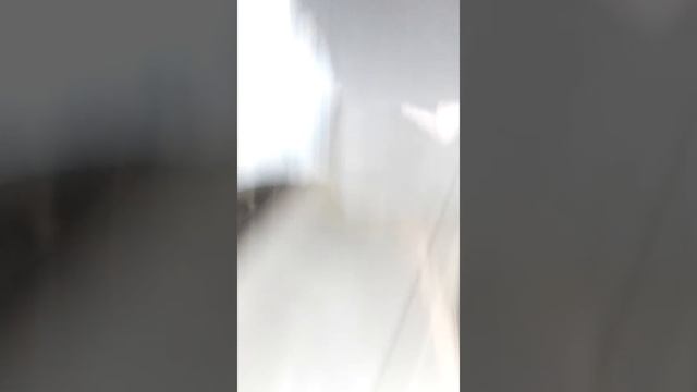 Школьный мечтатель