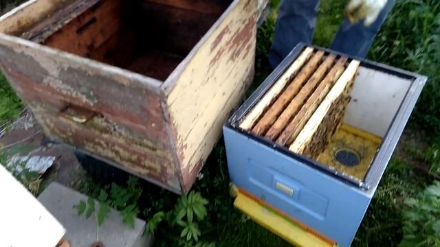 Заключительные рои ( 11 и12 ) улетели в Истру к Павлу смотреть онлайн