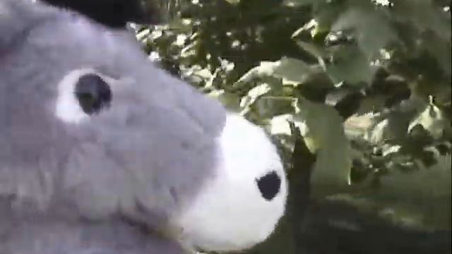 ThatDonkeyGuy : Arborist смотреть онлайн
