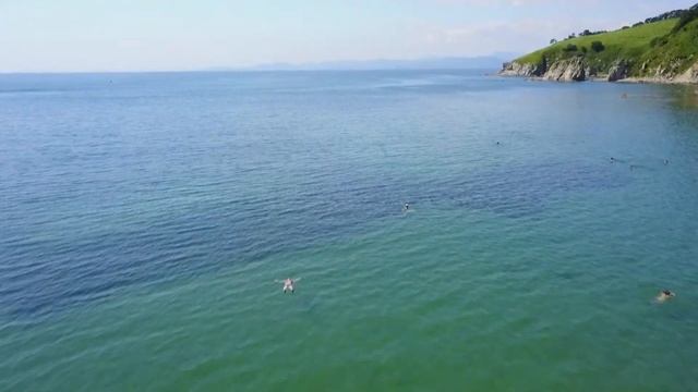#свадьбачернявских 29.07.2017 смотреть онлайн
