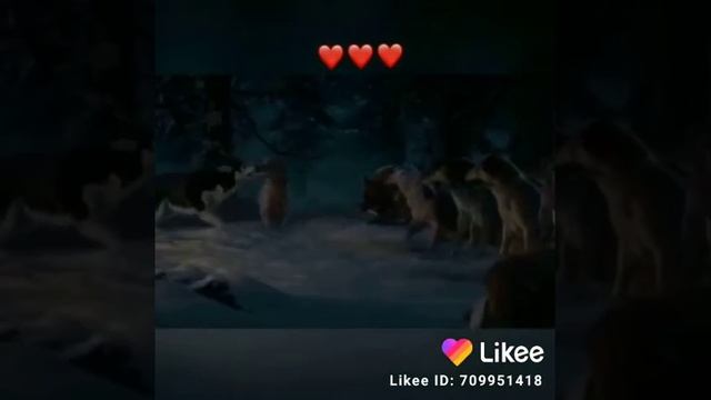 Главное не звание , а душа. смотреть онлайн