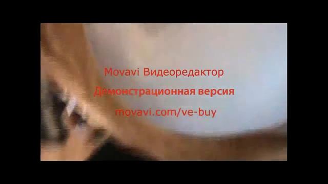 Часы джи шок смотреть онлайн