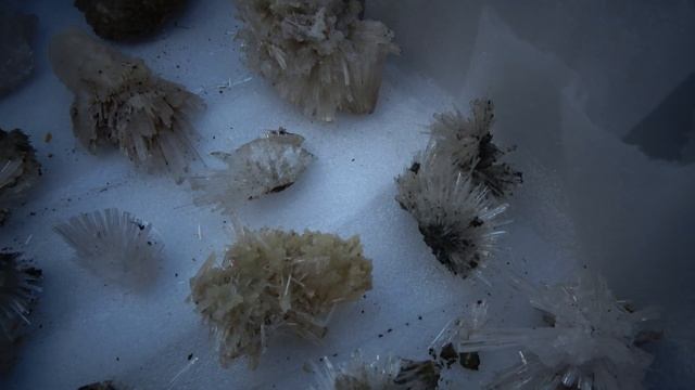 WINNIEITE Clear Radiating Needle Crystals Var.of Aragonite смотреть онлайн