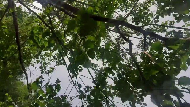 Турслет на Брусовице 23-25 июня 2023 смотреть онлайн