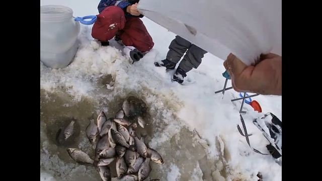 Зарыбление водоема зимой!!! смотреть онлайн
