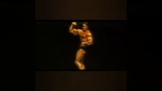 THE BEST BODY'S IN THE WORLD смотреть онлайн