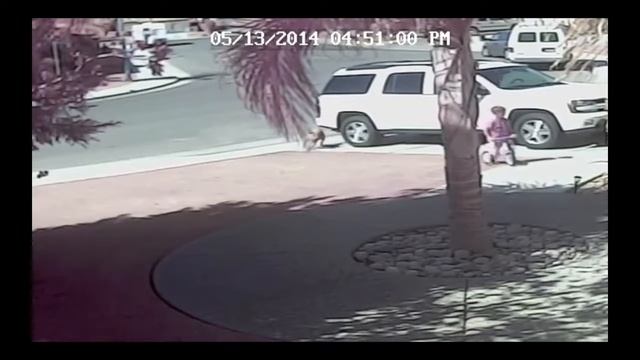 Кот спас ребёнка от собаки смотреть онлайн