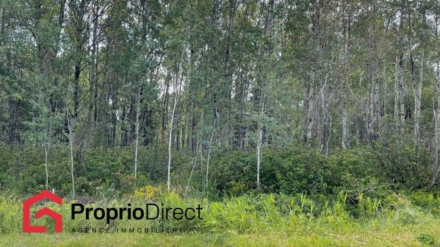 Terrain Senneterre - Paroisse 35 000 $ + taxes À vendre par Proprio Direct смотреть онлайн