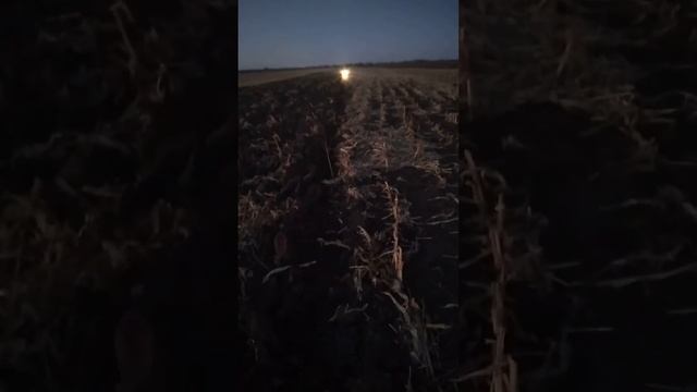 зимняя вспашка смотреть онлайн
