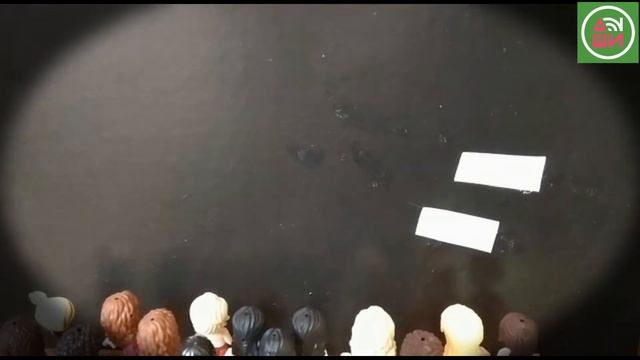 Коллективная работа учащихся ДШИ.онлайн "Салют Победы" смотреть онлайн