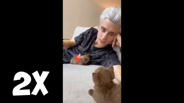 ВЛАД А4 с КОТИКАМИ Кис кис 16x | УСКОРЕНИЕ ТАНЦА в 16x / А4 В ТИК-ТОКЕ! | А4 и котики смотреть онлайн