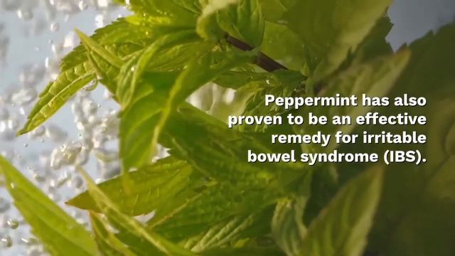 Top 3 herbs which helps you to lose your 7 kg weight in a week naturally смотреть онлайн