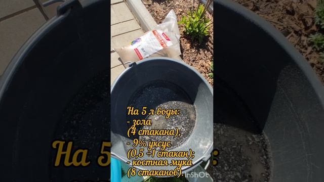 Всегда с хорошим урожаем томатов. Высаживаю томаты только так. Часть 1.