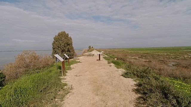 KIBRIS KUŞ CENNETİ / KUKLA BARAJI / MESARYA/ KIBRIS 2020 смотреть онлайн