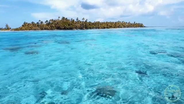 Bora Bora #4K #sia смотреть онлайн