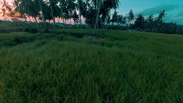 Betafpv Pavo30 with Fullsend 4s 1550Mah and Full SIze Gopro смотреть онлайн