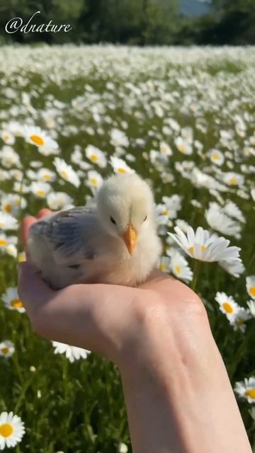 😍 смотреть онлайн