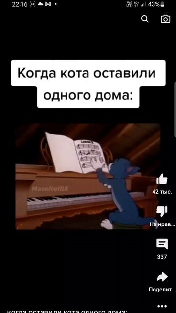 когда оставили кота одного дома: смотреть онлайн