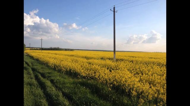 Босс Терпит Фиаско - И это пройдёт смотреть онлайн