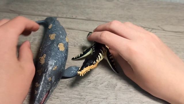 Обзор Collecta серого кита