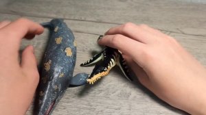 Обзор collecta серого кита