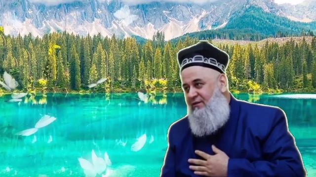 Диловар Сафаров ВА Хочи мирзо