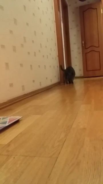Тромб у британки. Мусенька умерла. смотреть онлайн