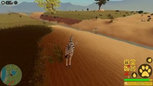 Играю за зебру в роблокс!!!Savannah Live в Roblox