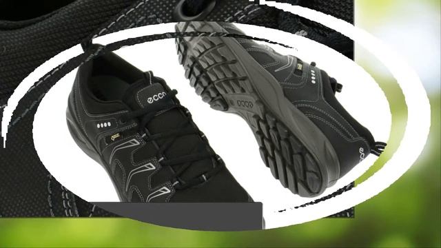 Ecco Terracruise GTX in schwarz Gore Tex Herren Sneakers (134-00-0008) смотреть онлайн