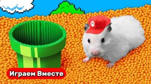 Майнкрафт лабиринт для хомяка ! Видео для детей ! Сложный лабиринт с ловушками !