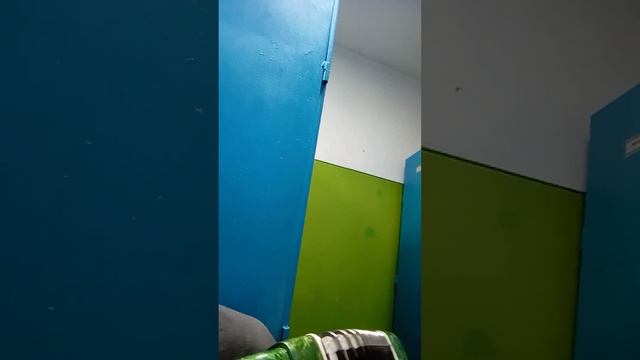 Белая береза