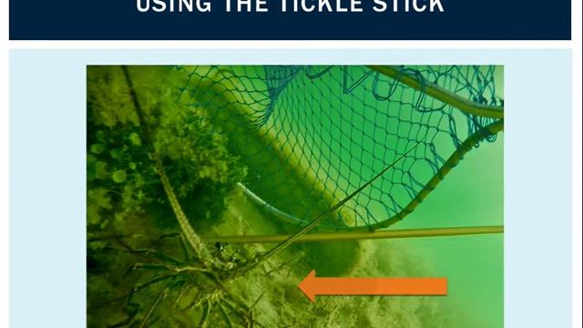 Instructional Video смотреть онлайн