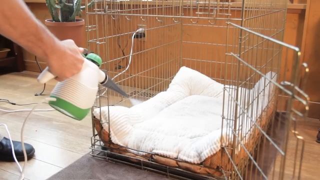 Steam Mop JR смотреть онлайн