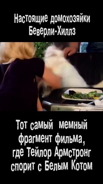 Мем с котом и Блондинкой смотреть онлайн