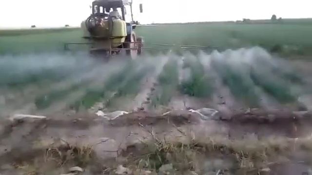 Зианкеске карсы дари шашу смотреть онлайн