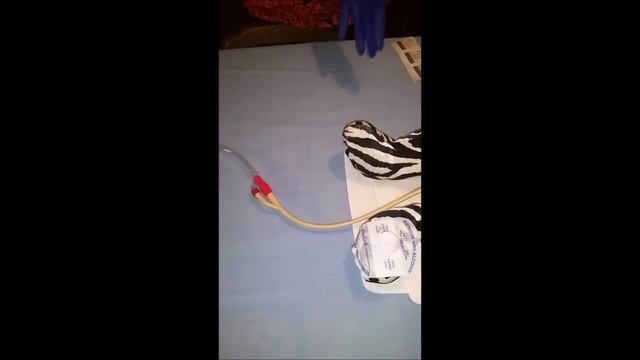 How To Remove A Urinary Foley Catheter